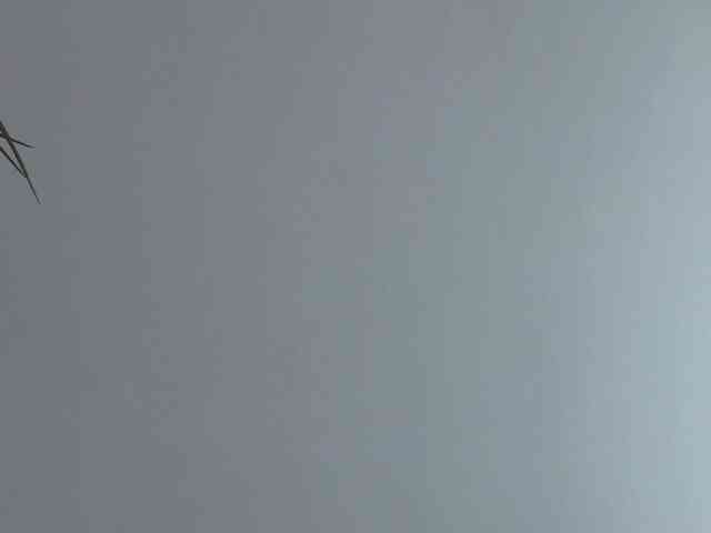 Foxxxy-MILF webcam