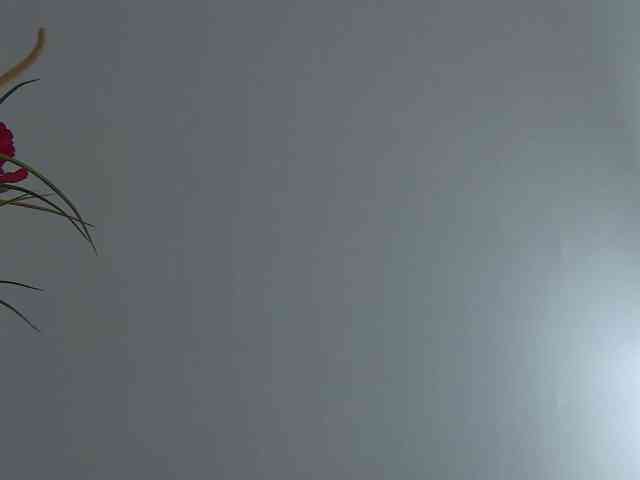 Foxxxy-MILF webcam