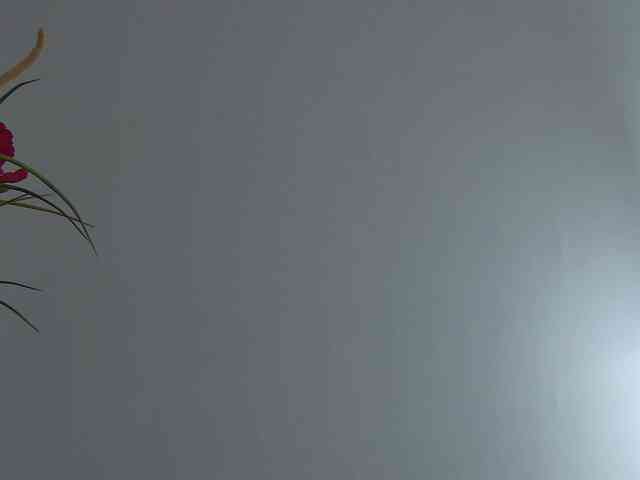 Foxxxy-MILF webcam
