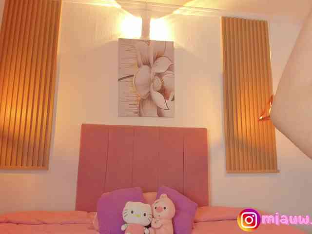 mianevaeh webcam