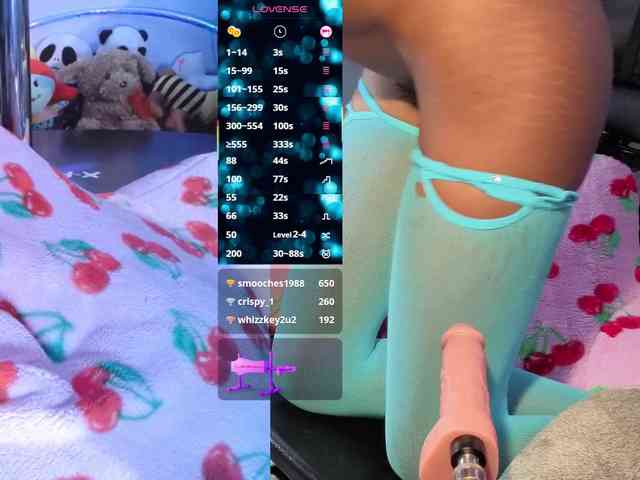 Mocha17 webcam