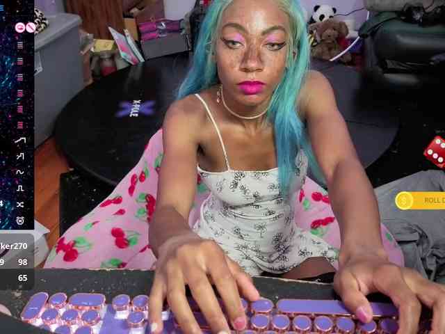 Mocha17 webcam
