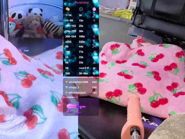 Mocha17 webcam