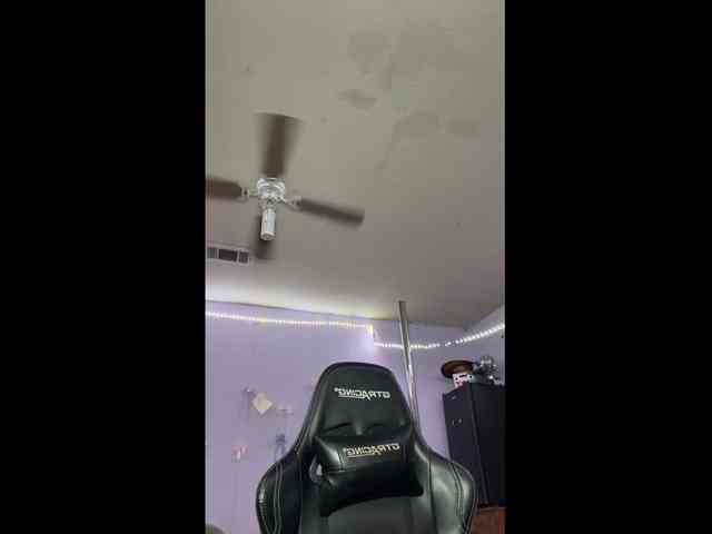Mocha17 webcam