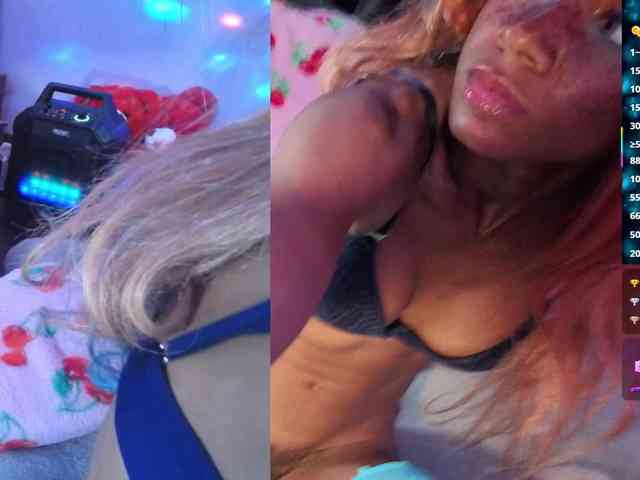 Mocha17 webcam
