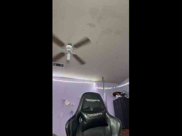Mocha17 webcam
