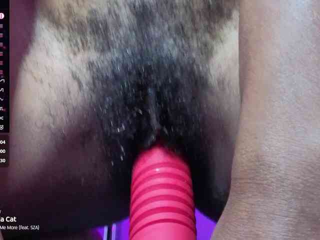Mocha17 webcam