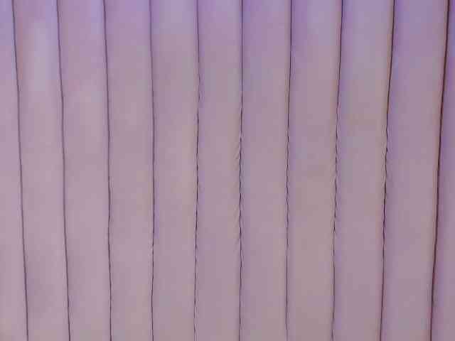 sashsapety webcam