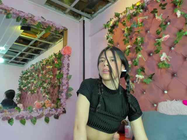 sashsapety webcam