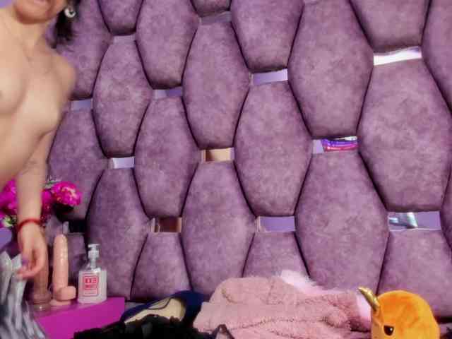 sashsapety webcam