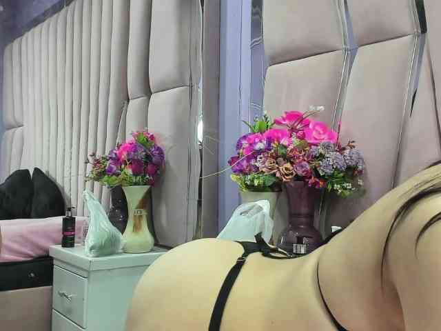 sashsapety webcam