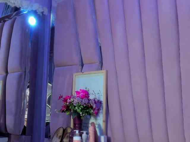 sashsapety webcam
