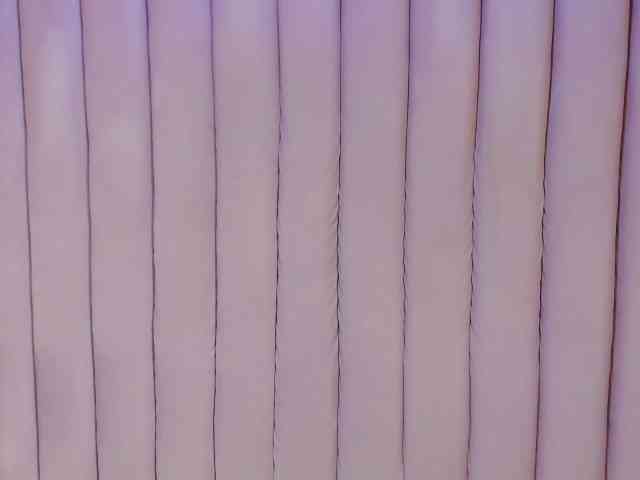 sashsapety webcam