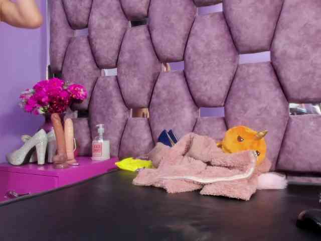sashsapety webcam