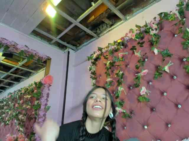 sashsapety webcam
