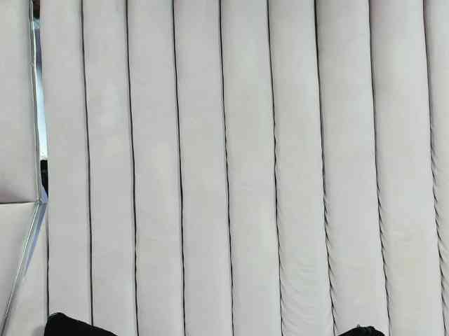 sashsapety webcam