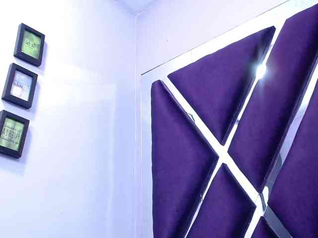 sashsapety webcam