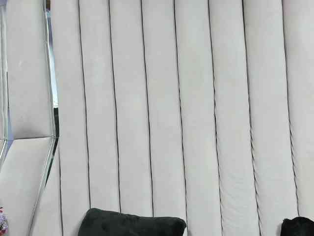 sashsapety webcam