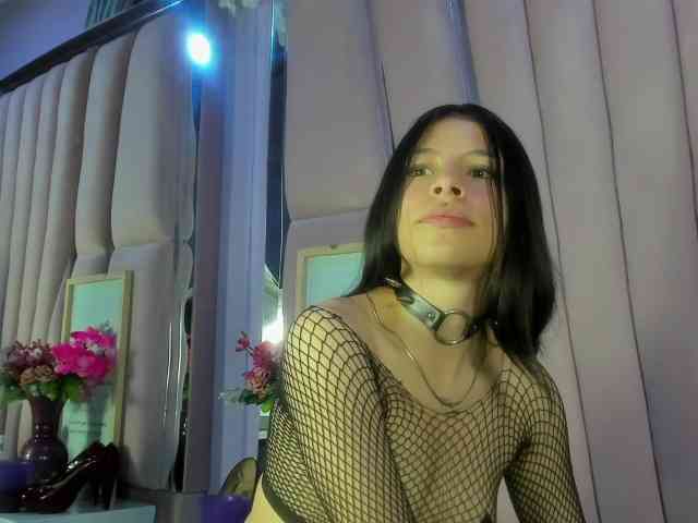 sashsapety webcam