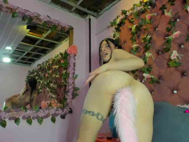 sashsapety webcam