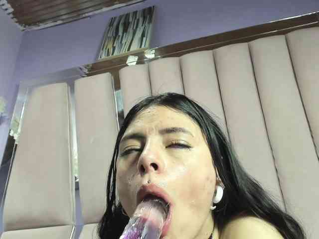 sashsapety webcam