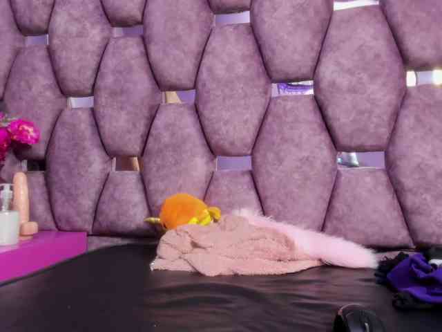 sashsapety webcam