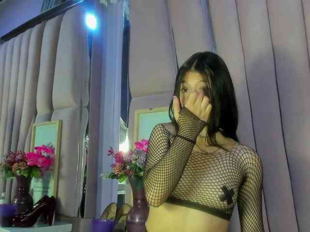 sashsapety webcam