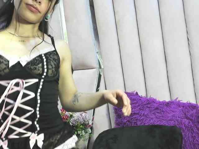 sashsapety webcam
