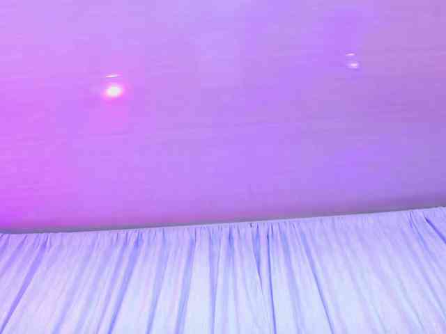 AlliciaKim AlliciaKim