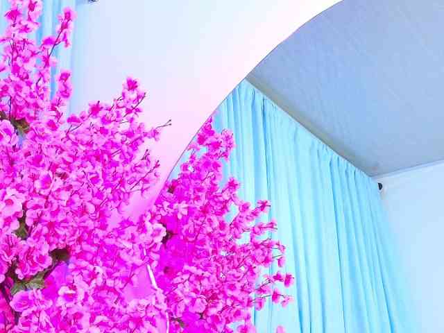 AlliciaKim AlliciaKim