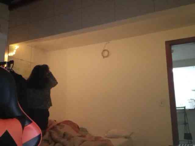 Bombonzin webcam