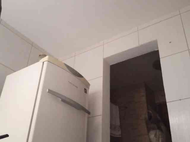 Bombonzin webcam