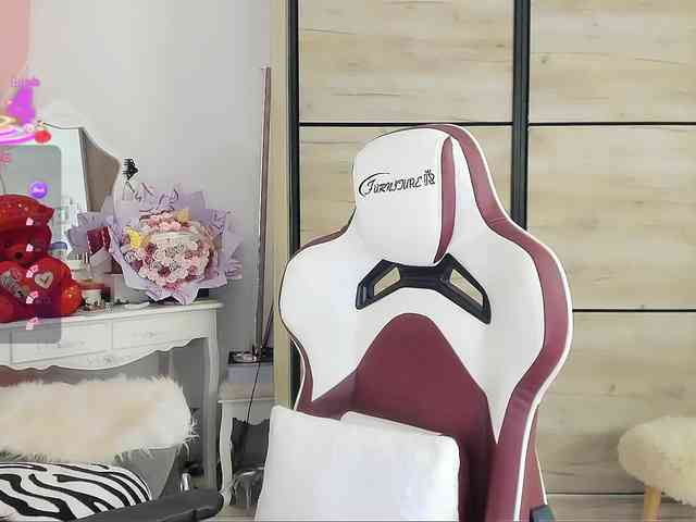 Maryellle webcam