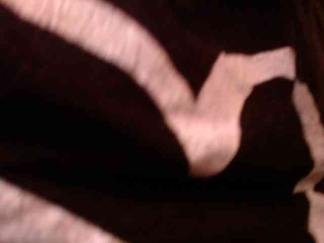 Abigailstone69 webcam