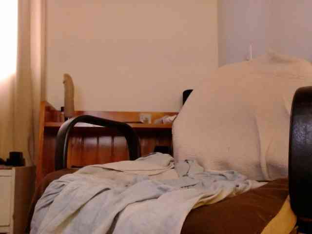 Abigailstone69 webcam