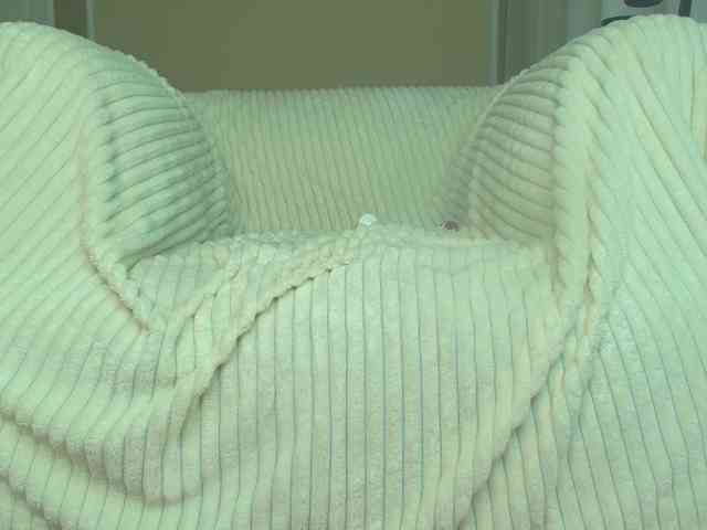 squikt webcam