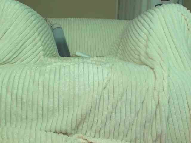 squikt webcam