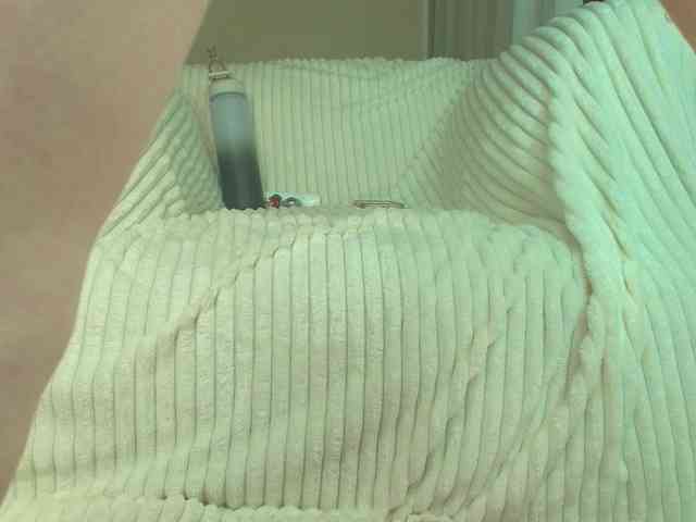 squikt webcam