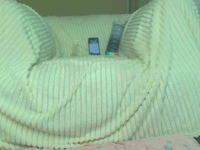 squikt webcam