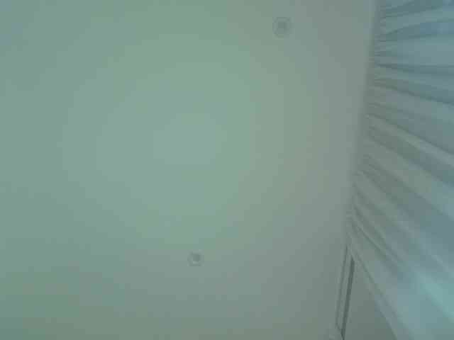 squikt webcam