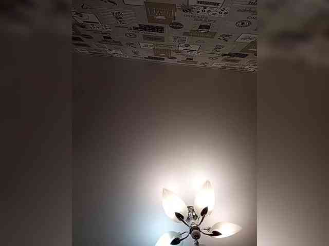 Niki233221 Niki233221