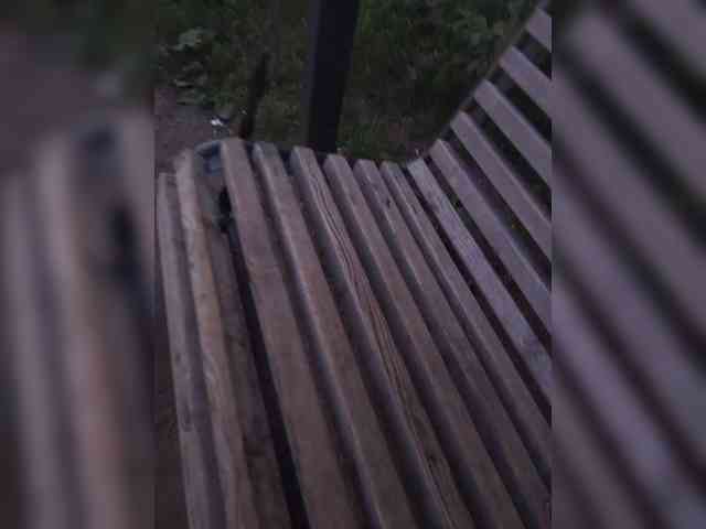 Niki233221 webcam
