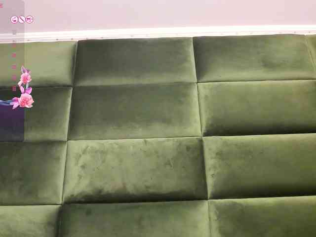 SelenSummer webcam