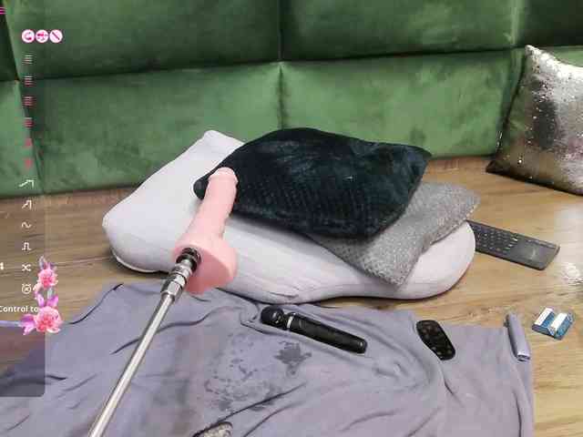 SelenSummer webcam