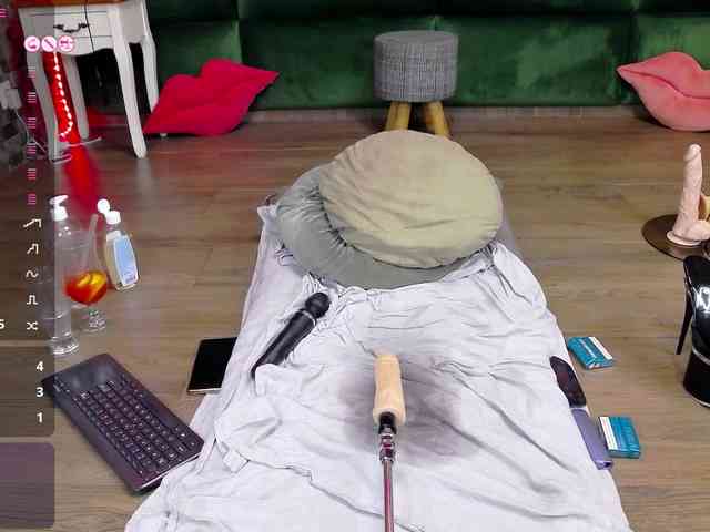 SelenSummer webcam