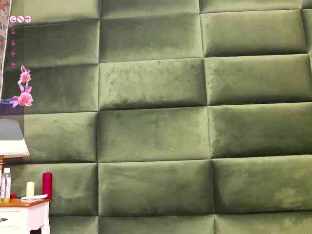 SelenSummer webcam