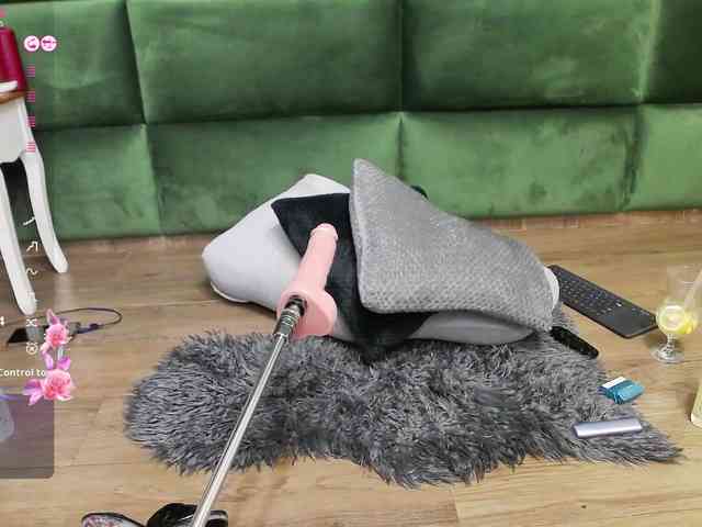 SelenSummer webcam