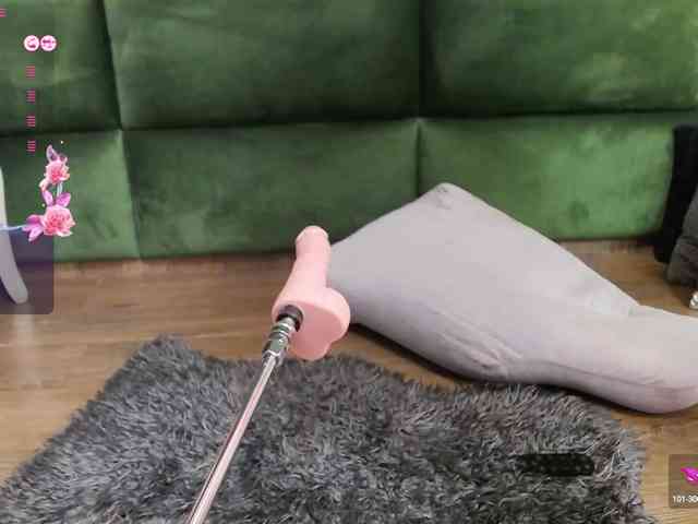 SelenSummer webcam