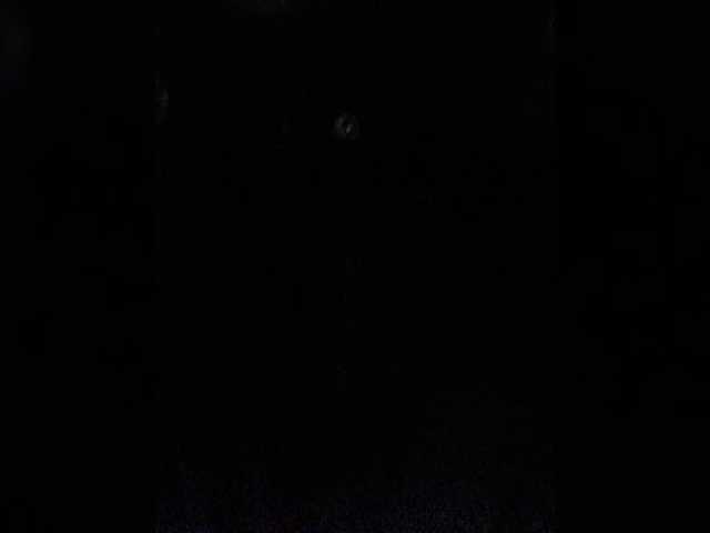  sweetkarinaa chat room