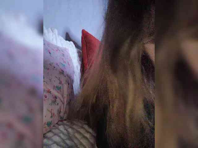 _Lisichka webcam